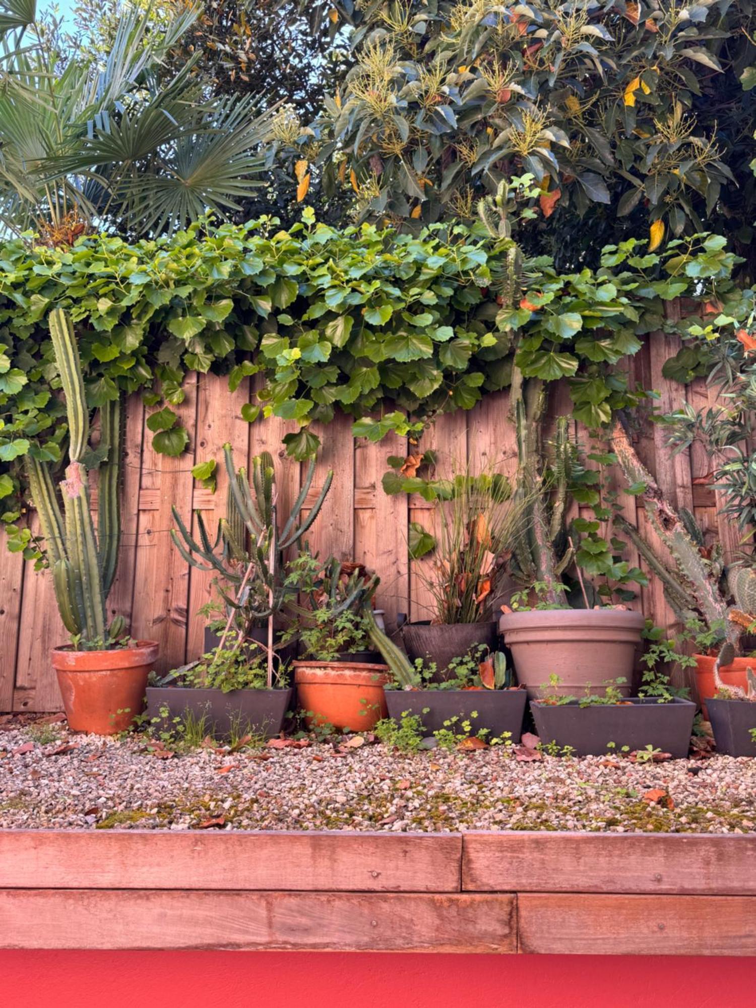 Design 100sqm Close To Palais And Restaurants Cannes